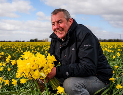 Asda daffodil grower Colin Martin