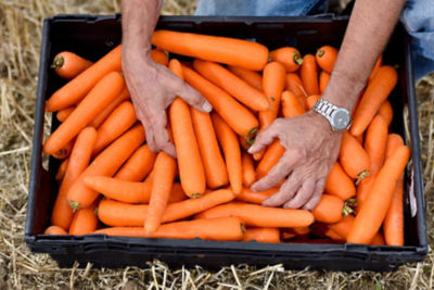 Asda carrots