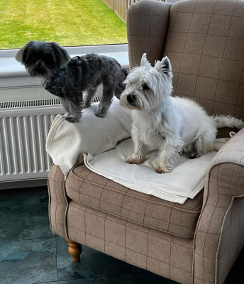 Asda Tain store manager Margo Gurney looked after an unwell customer's dog
