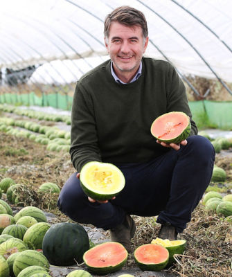 British watermelons from Asda