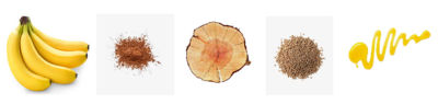 zero_deforestation_image